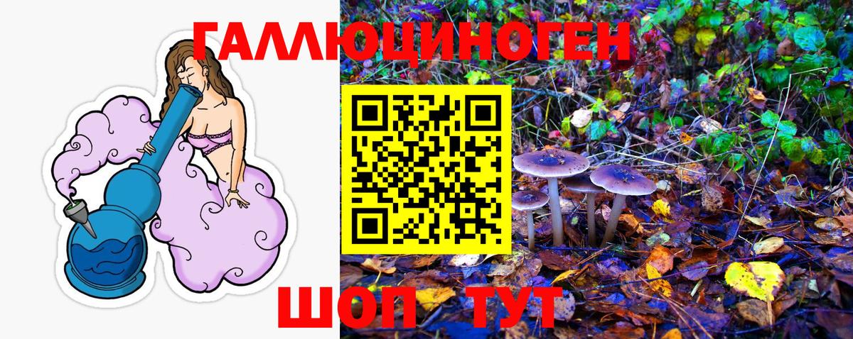 Кашира  Псилоцибиновые грибы Magic Shrooms  Псилоцибиновые грибы ЛСД  закладка  Вход с VPN 