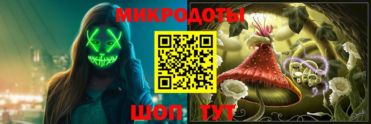 Псилоцибиновые грибы Psilocybine cubensis Кашира
